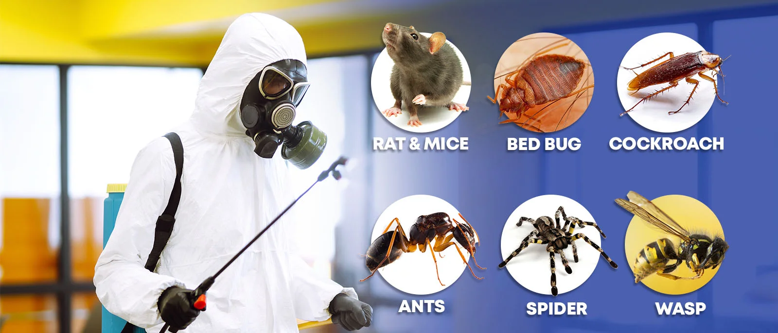 Pest control services