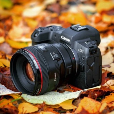 Website Development Services